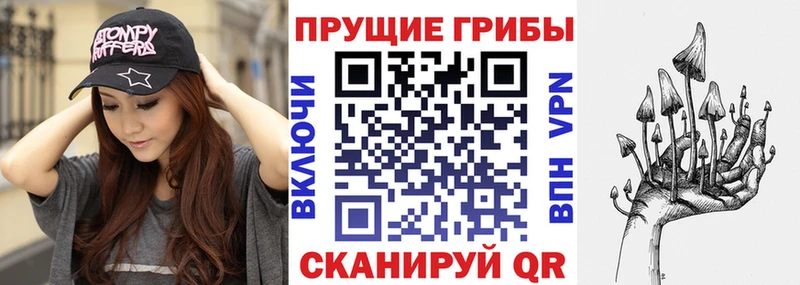 Галлюциногенные грибы Psilocybe  shop какой сайт  Омск 
