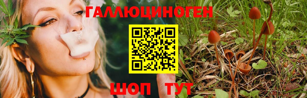 Галлюциногенные грибы мухоморы  Вход с VPN  Галлюциногенные грибы MAGIC MUSHROOMS  Омск 