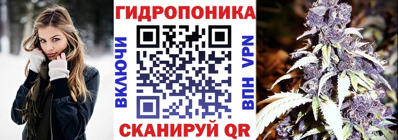 kraken tor Омск Бошки марихуана гибрид